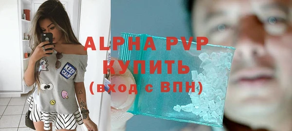 спиды Богданович