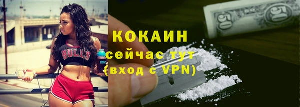 гашик Богородицк