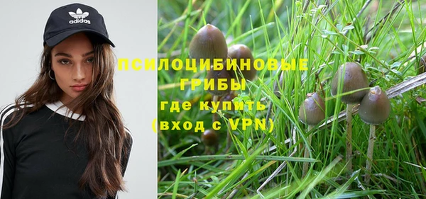 спиды Богданович