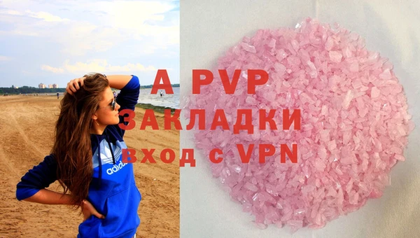 спиды Богданович